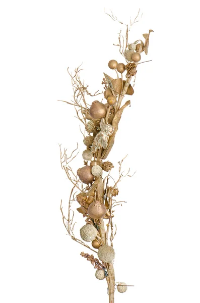 Golden Christmas decoration branches — Stock Photo, Image