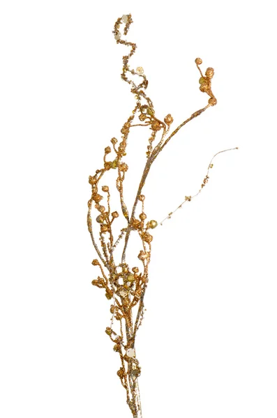 Golden Christmas decoration branches — Stock Photo, Image