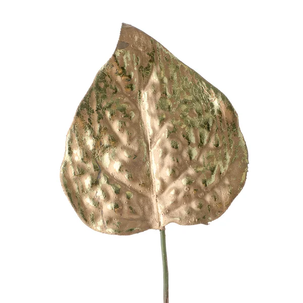 Hermosa hoja de oro decorativo — Foto de Stock