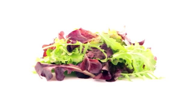 Mistura de salada fresca — Vídeo de Stock