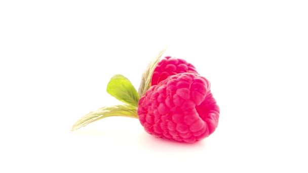 Ripe raspberry with leaf — Stock Video