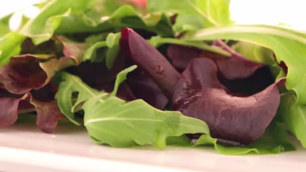 Салат з свіжої суміші — стокове відео