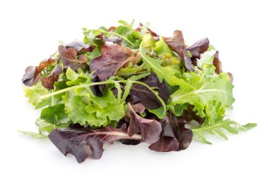 taze salata karışımı