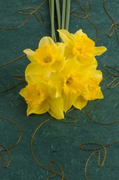 Zbliżenie kwiatów żonkil — Zdjęcie stockowe