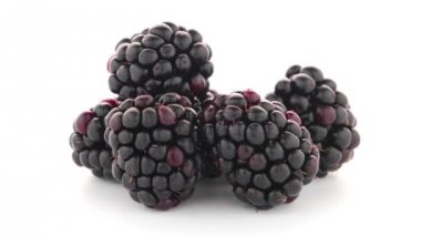 taze berry blackberry