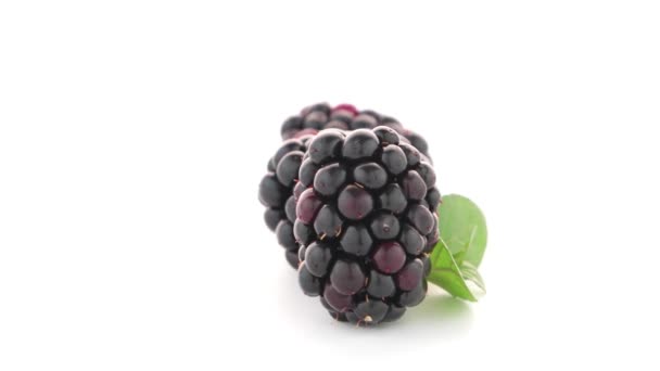 Fresh berry blackberry — Stock Video