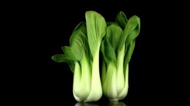 Pak choi siyah