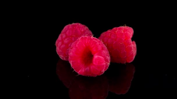 Raspberries with leaves — Stock Video