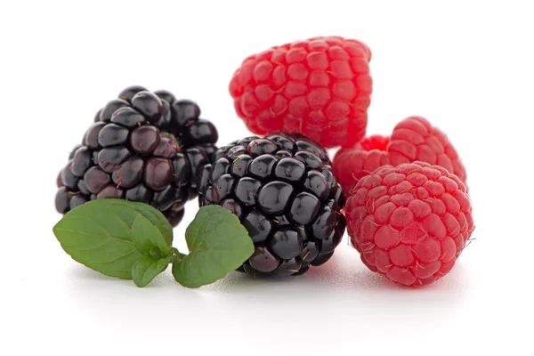 Малина з blackberry — стокове фото