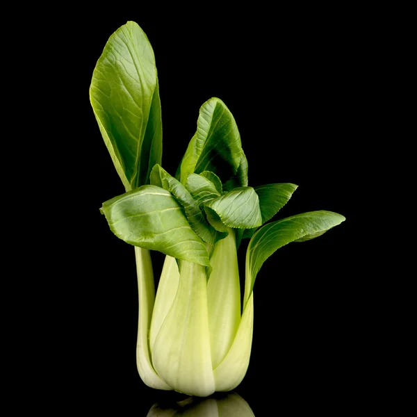 Pak choi auf schwarz — Stockfoto