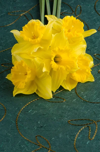 Närbild av jonquil blommor — Stockfoto