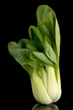 Pak choi siyah 