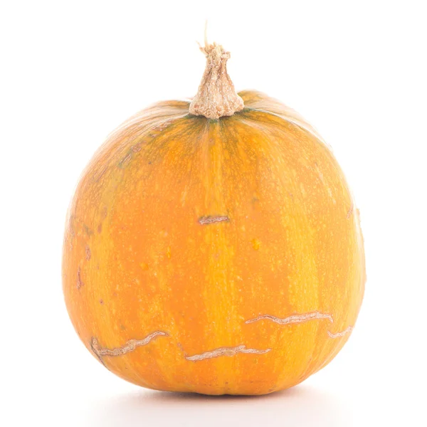 Closeup of pumpkin — Stock Photo, Image