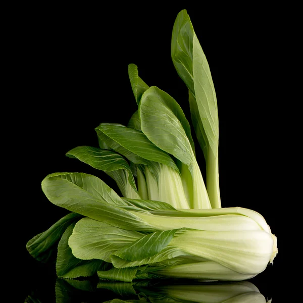 Pak choi τη μαύρη — Φωτογραφία Αρχείου