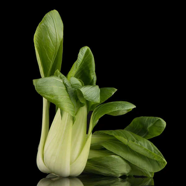 Pak choi en negro — Foto de Stock