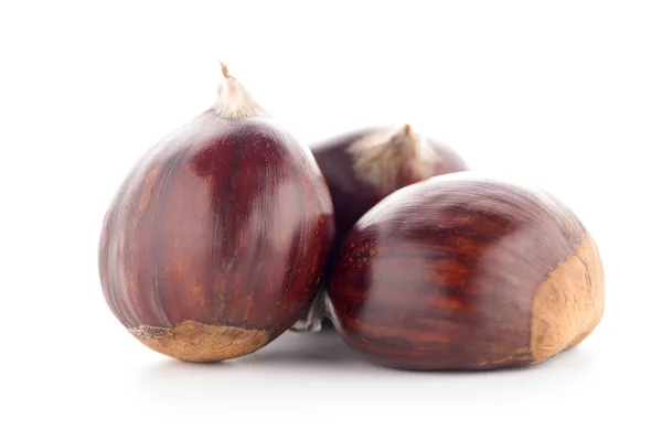 Chestnuts with shell — Stock Photo, Image