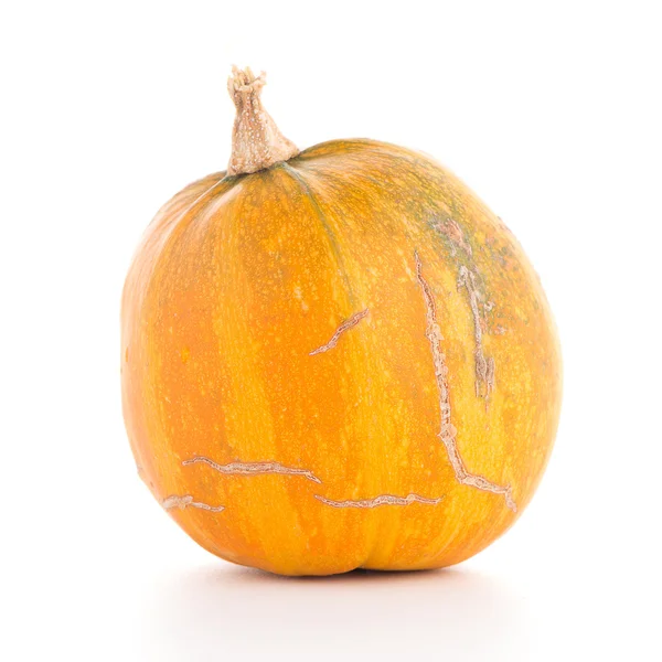 Closeup of Pumpkin — Stock Photo, Image