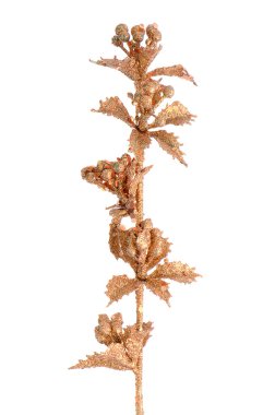 Altın christmas dekorasyon şubeleri