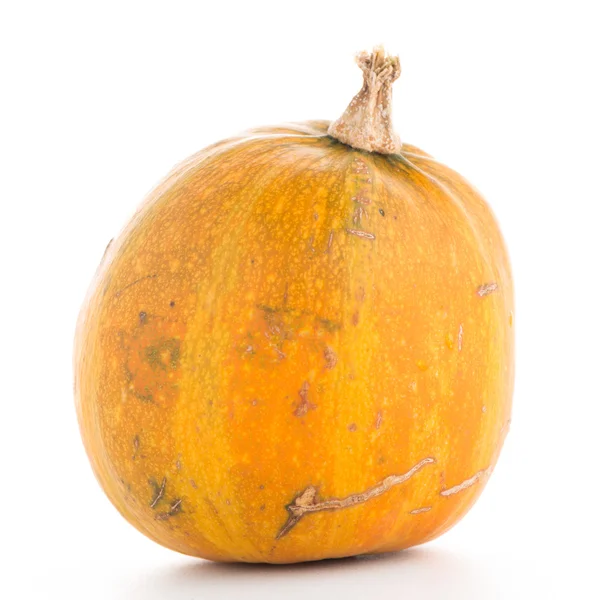 Closeup of pumpkin — Stock Photo, Image