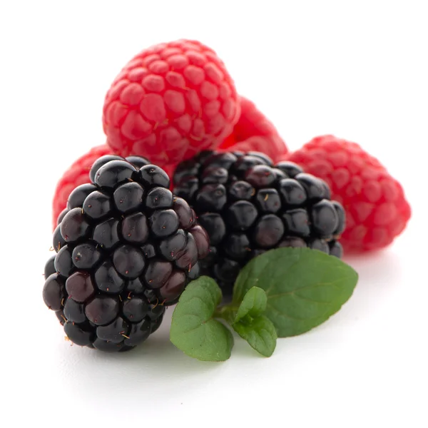 Malina s blackberry — Stock fotografie