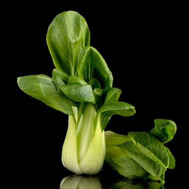 Pak choi siyah 