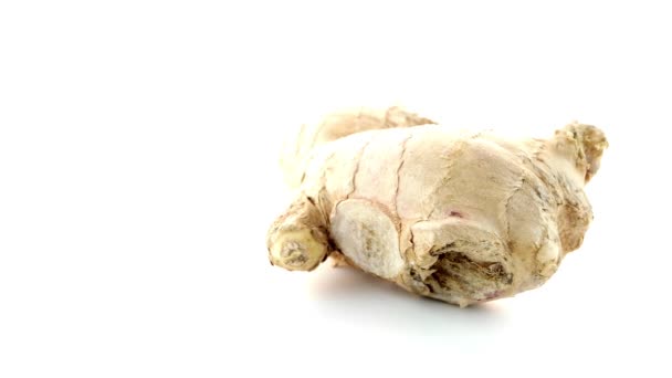 Ginger root on white — Stock Video
