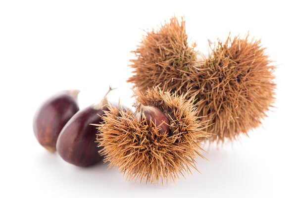 Chestnuts with shell 