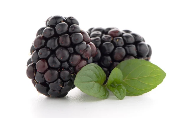 Blackberries with leaves — Stock Photo, Image