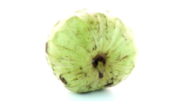 Manzana natillas fresca — Vídeos de Stock