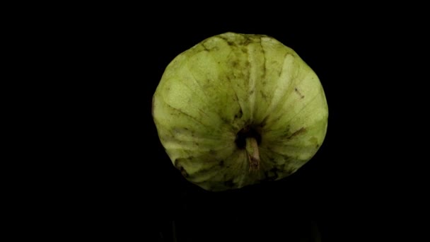 Pomme à crème fraîche 