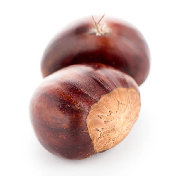 Castagne con guscio — Foto Stock