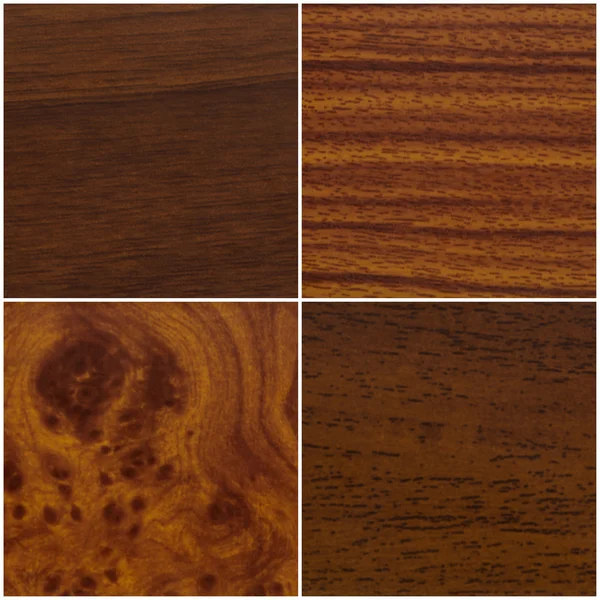 Quatro amostras de madeira — Fotografia de Stock