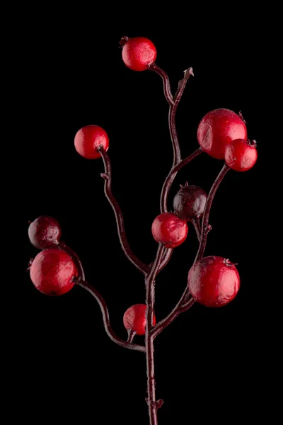 Red Christmas decoration branches — Stock Photo, Image