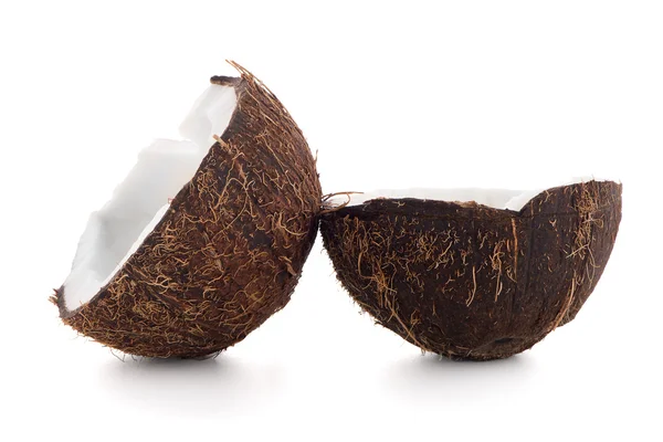 Primer plano del coco — Foto de Stock