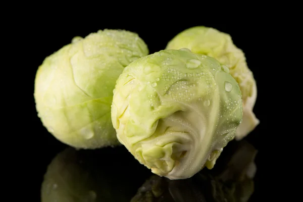 Taze Brüksel lahanası — Stok fotoğraf