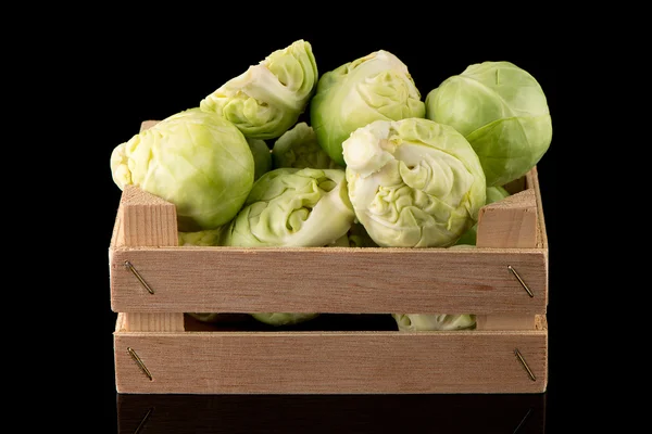 Frische Rosenkohl-Sprossen — Stockfoto