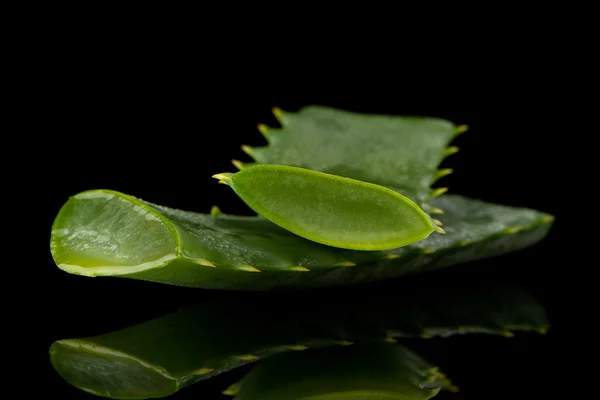 Sliced aloe leaf — Stock Photo, Image