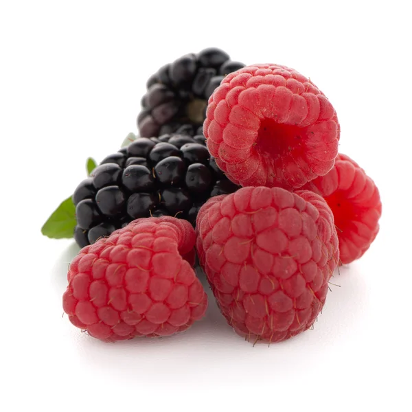 Framboos met blackberry — Stockfoto