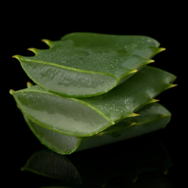 Sliced aloe leaf — Stock Photo, Image