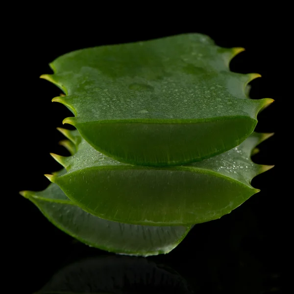 Hoja de aloe en rodajas —  Fotos de Stock