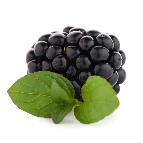 Blackberries with leaves — Stock Photo, Image