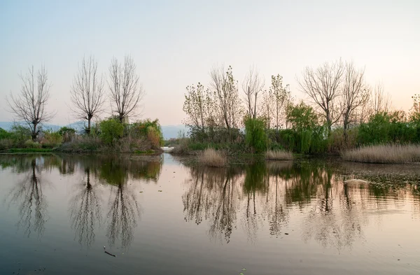 Klidné jezero povrch — Stock fotografie