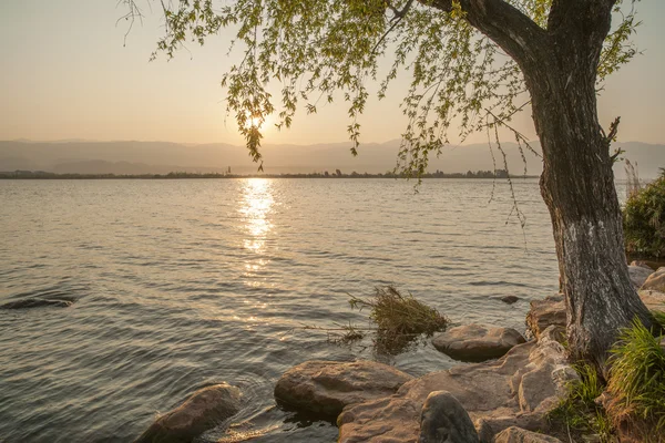 Tranquil lake surface — Stock Photo, Image