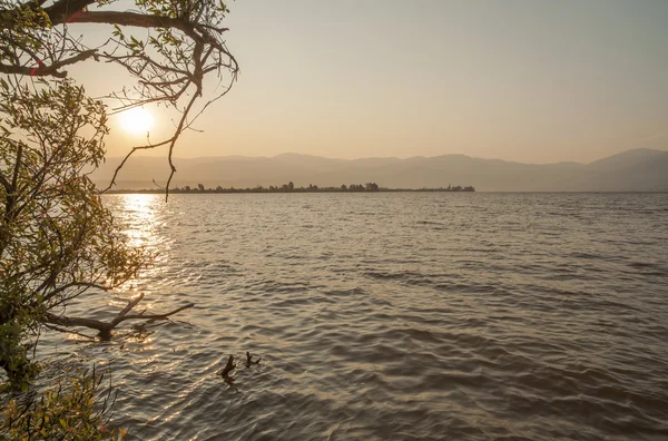 Tranquil lake surface — Stock Photo, Image