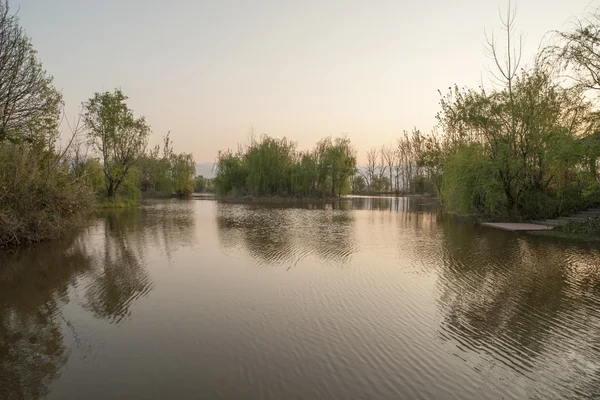 Superfície tranquila do lago — Fotografia de Stock