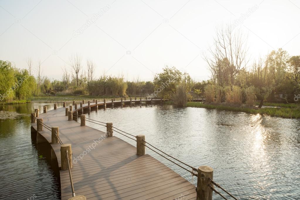 wetland walkway path 