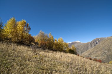 Utumn peyzaj