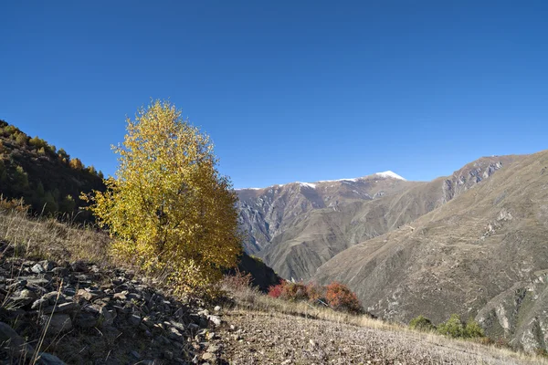 Paisaje argentino —  Fotos de Stock