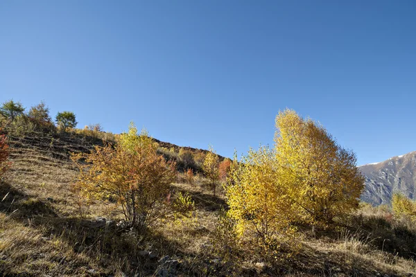 Осінній краєвид — стокове фото