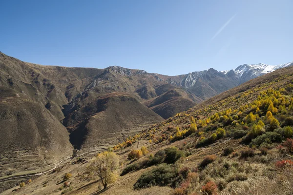 Utumn peyzaj — Stok fotoğraf